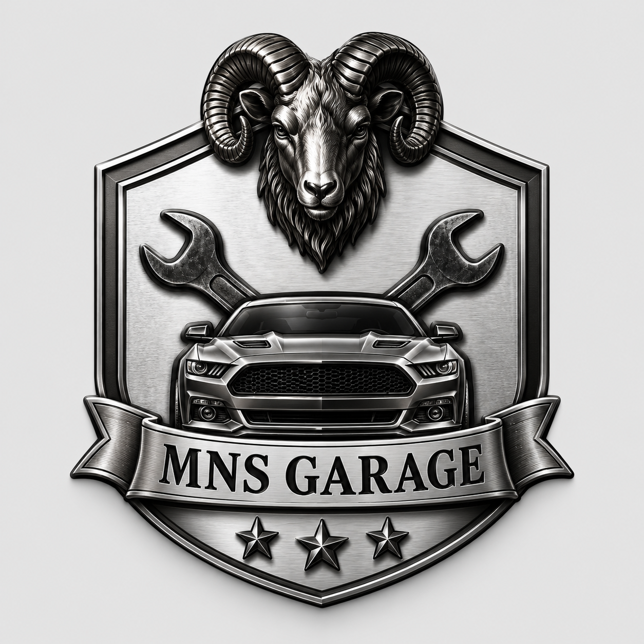 MNS Garage logosu