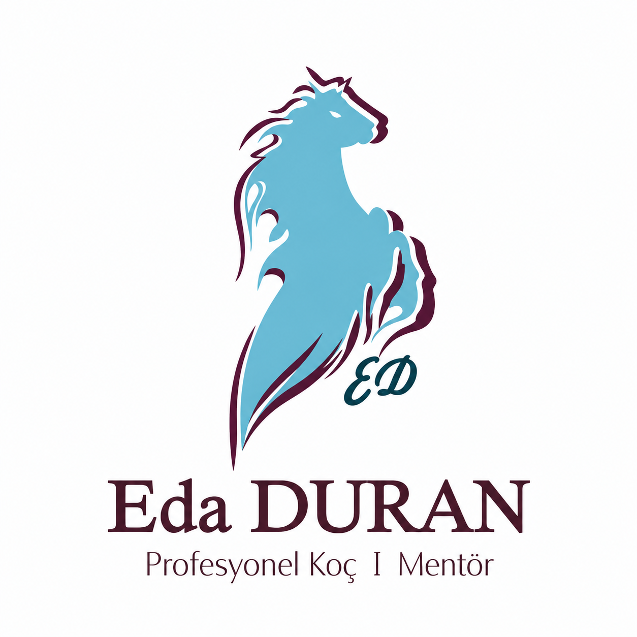 Eda Duran logosu